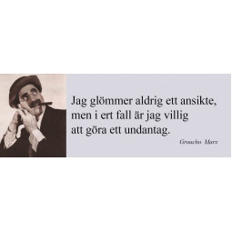 Magnet/Jag glömmer aldrig ett